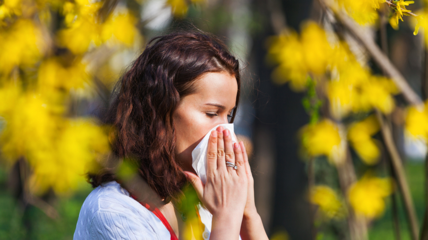 För pollenallergiker är det viktigt att redan tidigt på våren, när de första symtomen gör sig påminda, påbörja behandling. Foto: Shutterstock